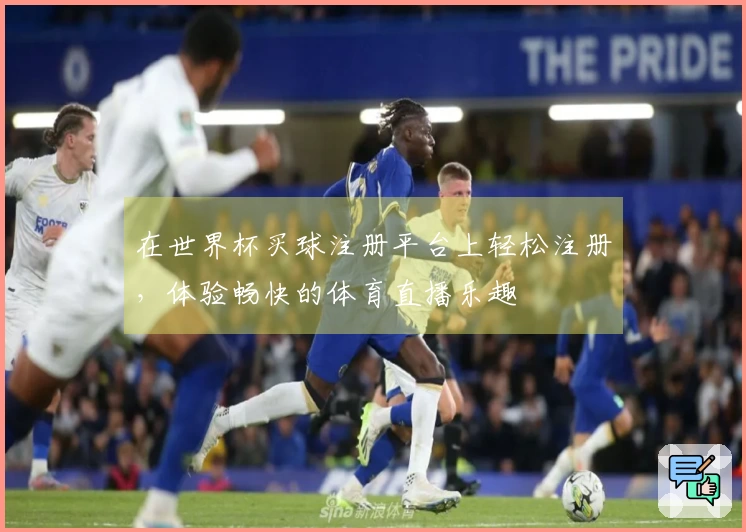 在世界杯买球注册平台上轻松注册，体验畅快的体育直播乐趣