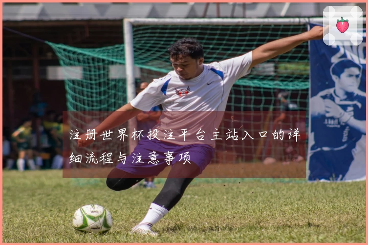 注册世界杯投注平台主站入口的详细流程与注意事项