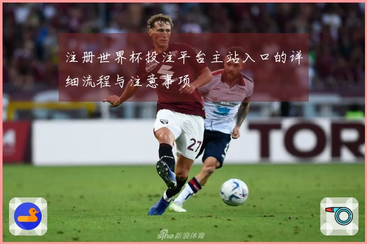 注册世界杯投注平台主站入口的详细流程与注意事项