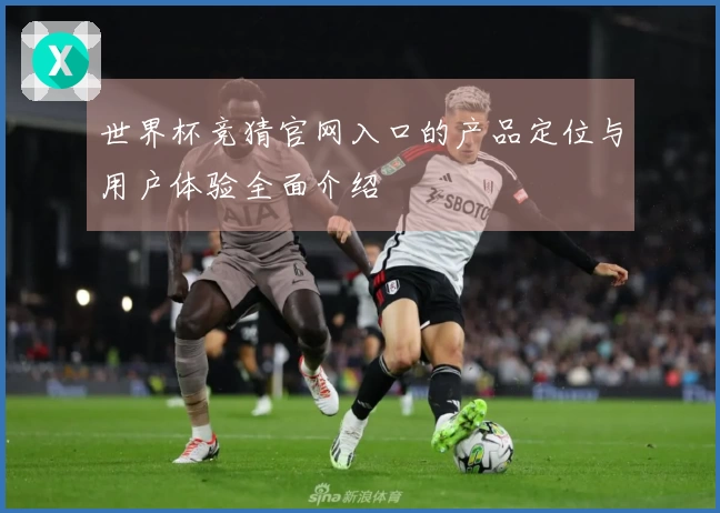 世界杯竞猜官网入口的产品定位与用户体验全面介绍
